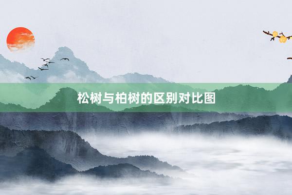 松树与柏树的区别对比图